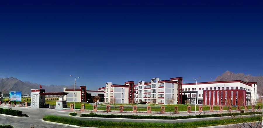 P2.webp.jpg