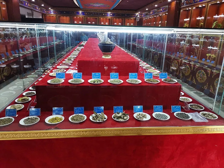 P15.webp.jpg
