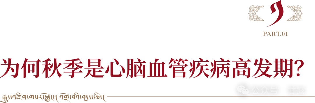 1727345046845381.jpg 1.jpg