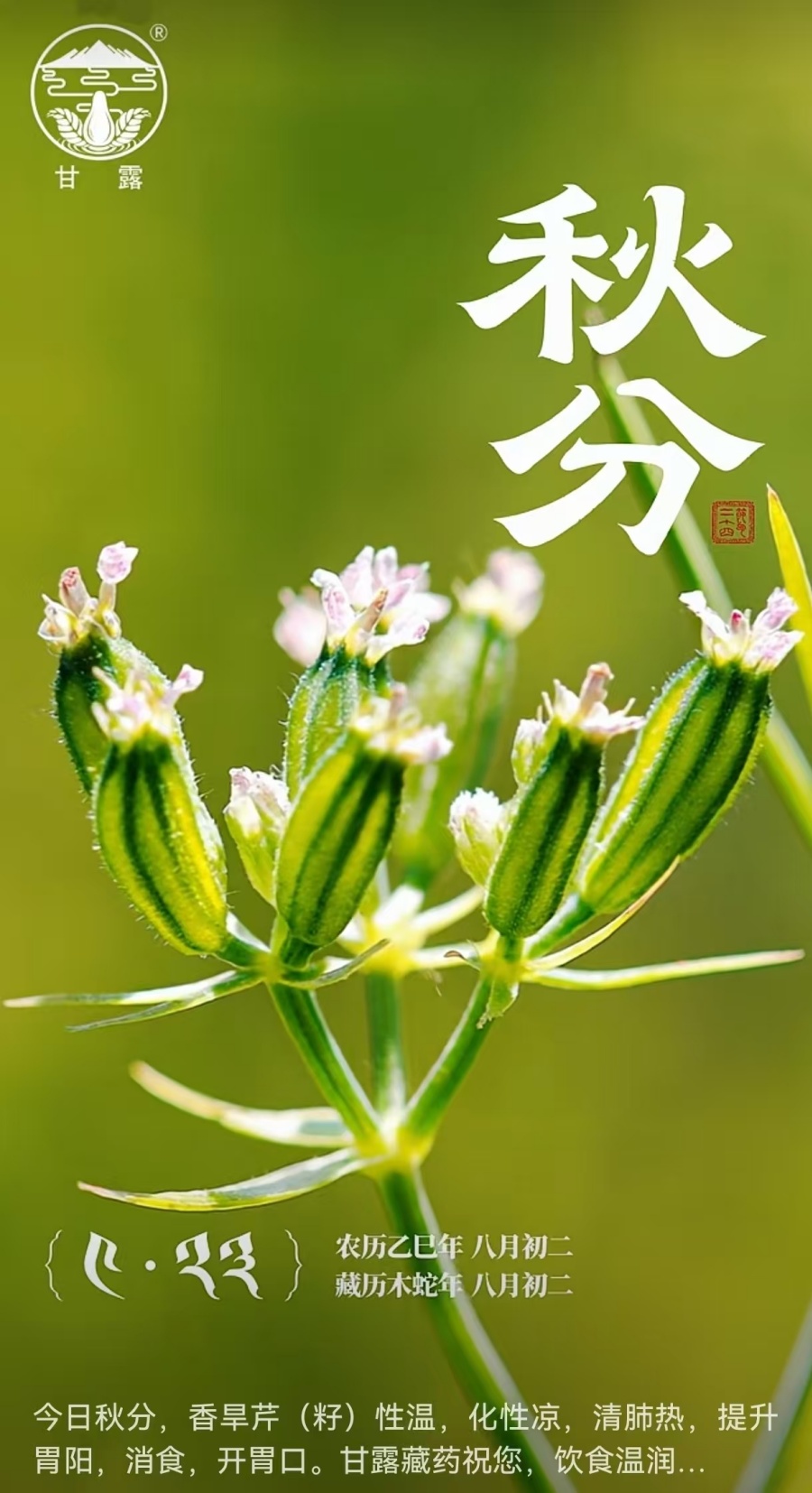 微信图片_20250923100641_162_127.jpg