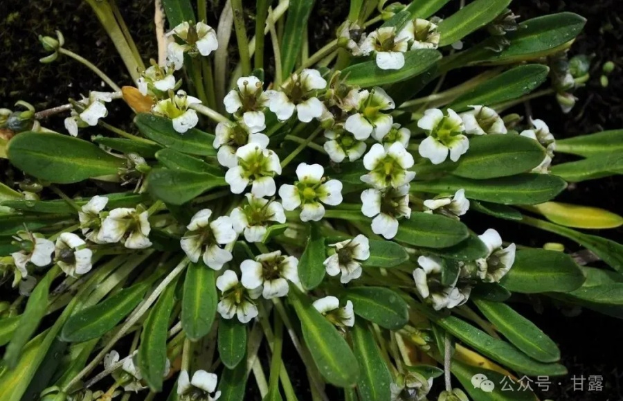 1765178838900987.jpg 640 (2).jpg