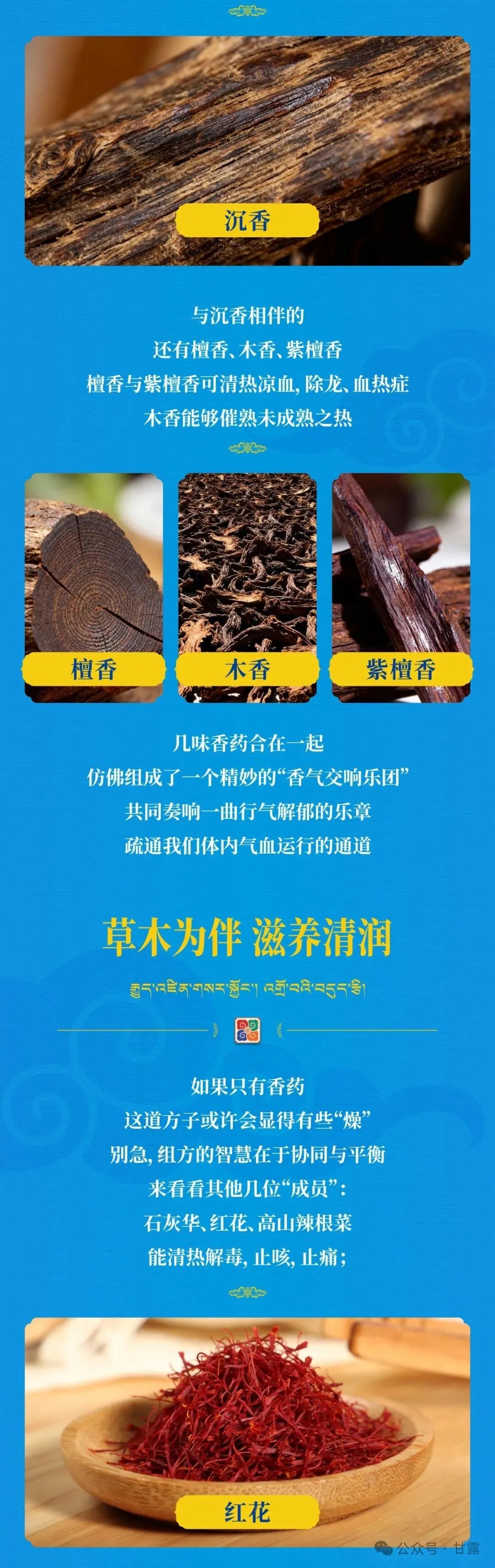 1767509992752242.jpg 640 (1).jpg