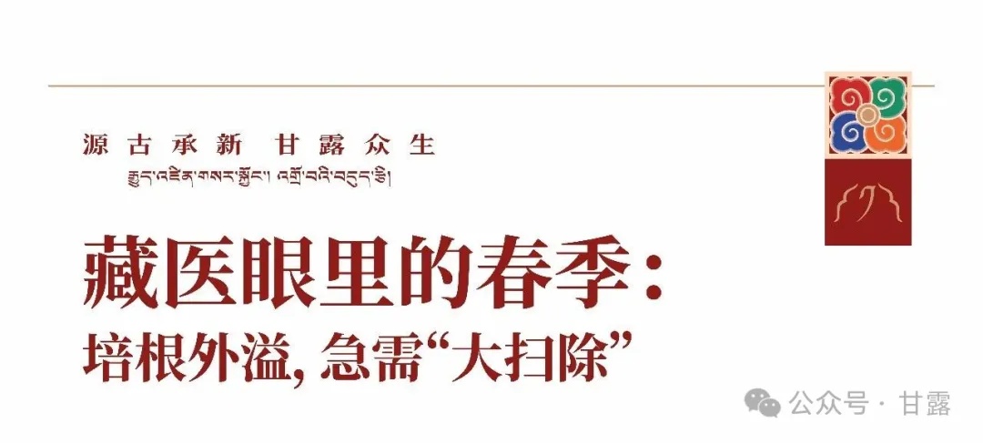 1772417883603885.jpg 640.jpg