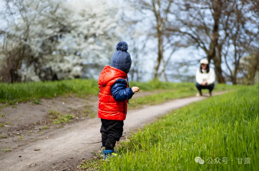 1772417920589040.jpg 640 (3).jpg