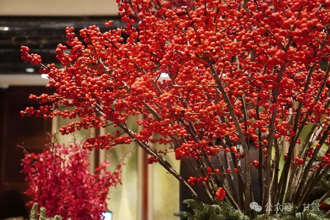 1773629433699692.jpg 640 (4).jpg