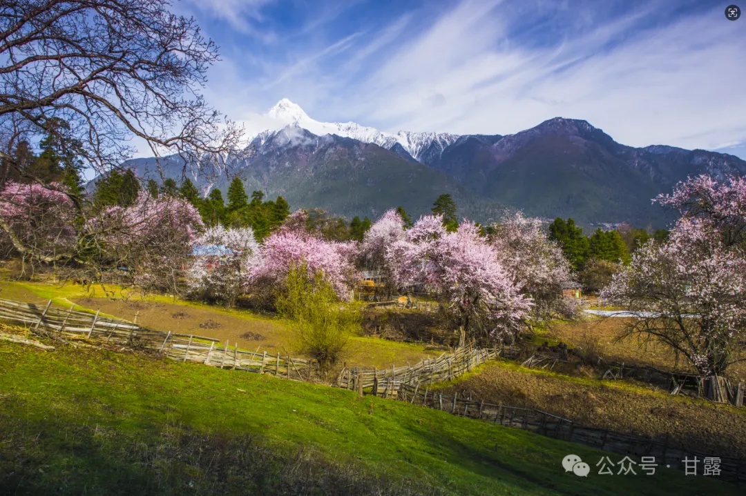 1775530640984428.jpg 640.jpg